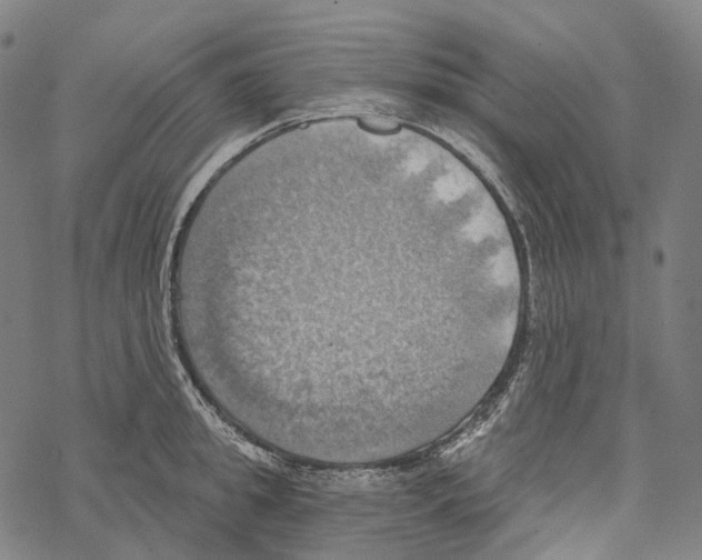 X0000067470949200605051644