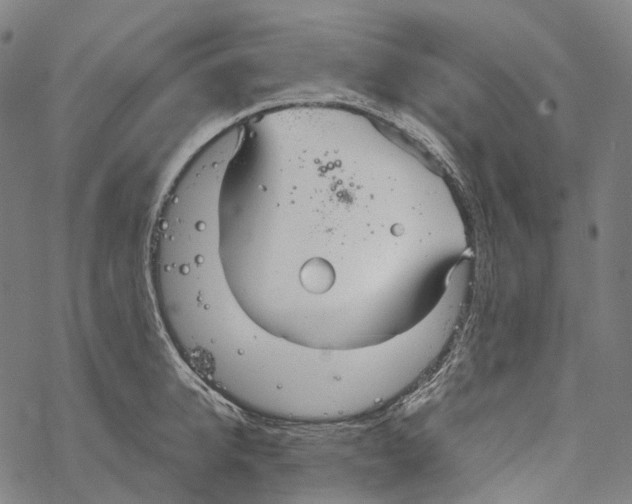 X0000067470950200605051644