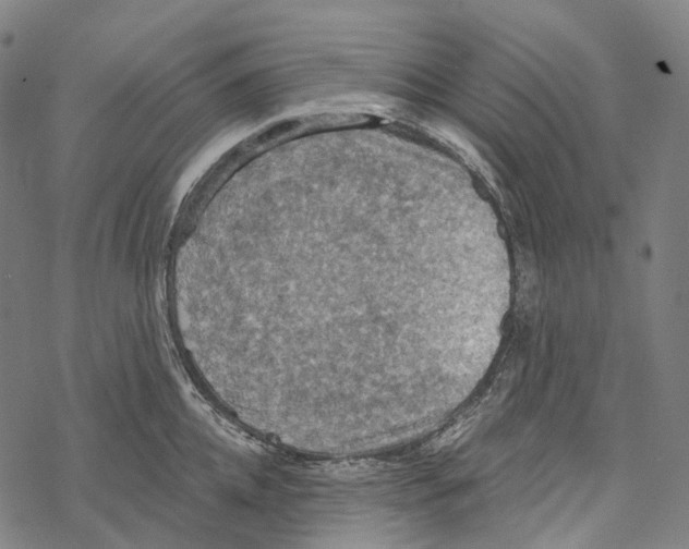 X0000067470952200605051644