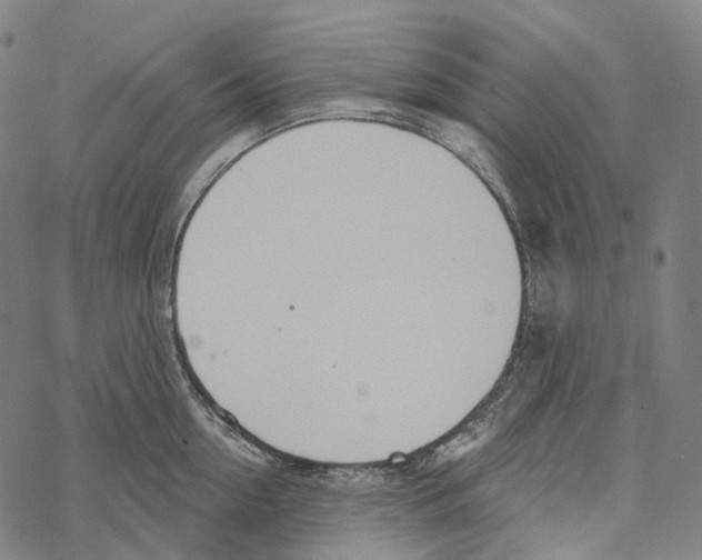 X0000067470954200605051644