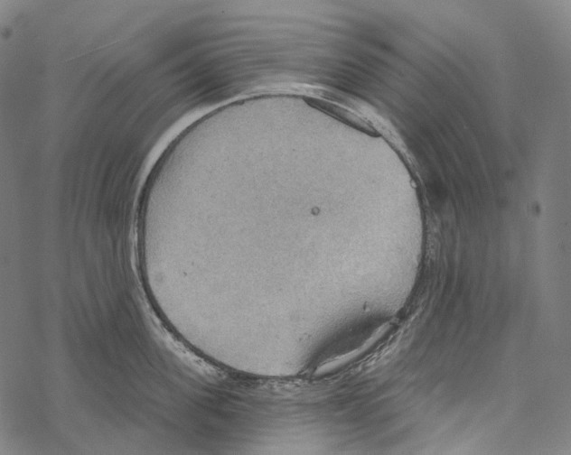 X0000067470955200605051644