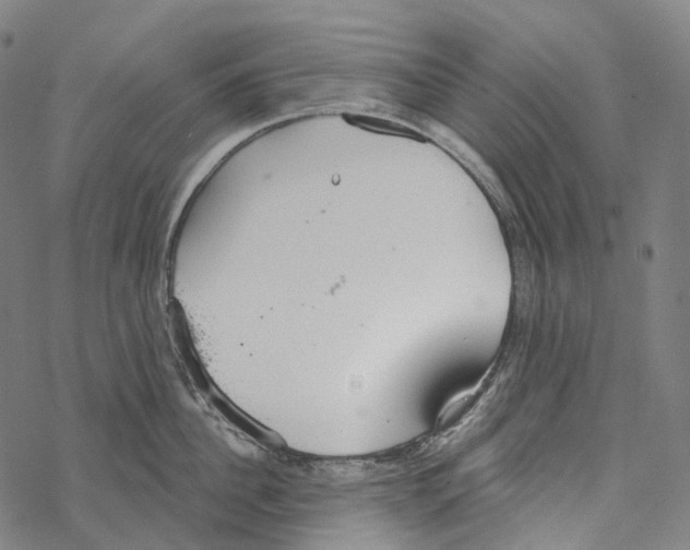 X0000067470956200605051644