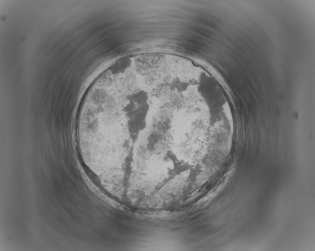 X0000067470957200605051644