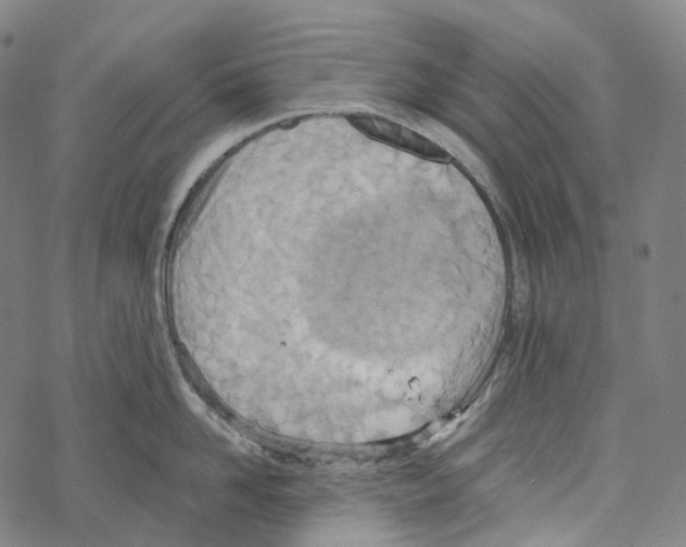 X0000067470958200605051644