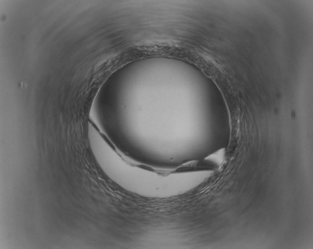 X0000067470965200605051643