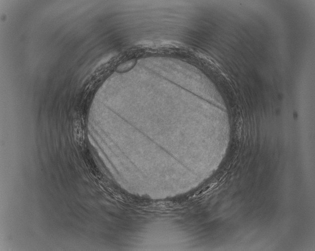 X0000067470966200605051643