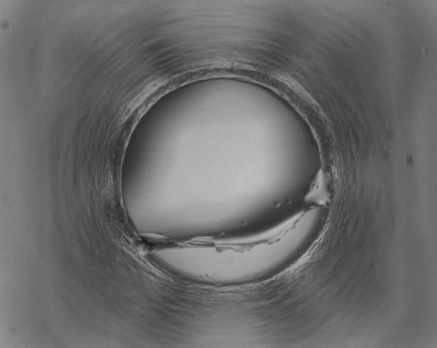 X0000067470969200605051643