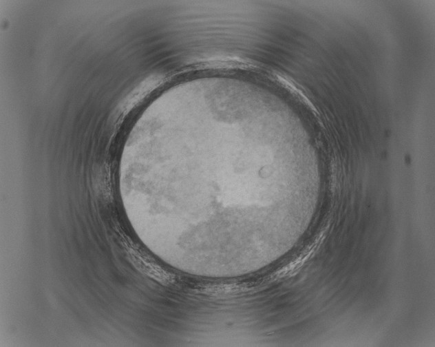 X0000067470970200605051643