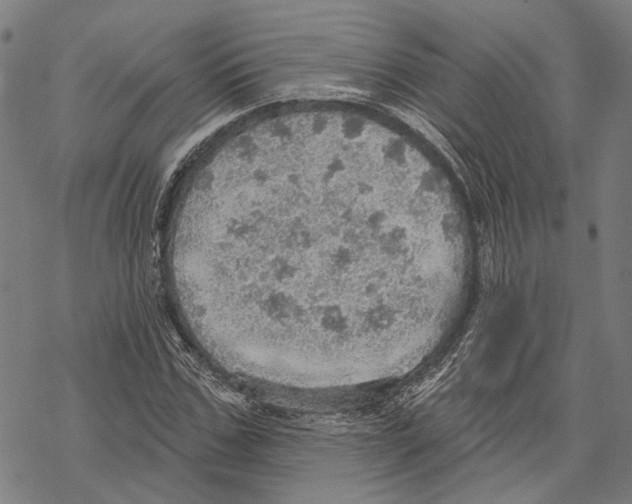 X0000067470971200605051643