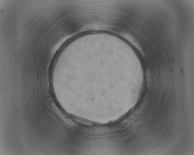 X0000067470972200605051643