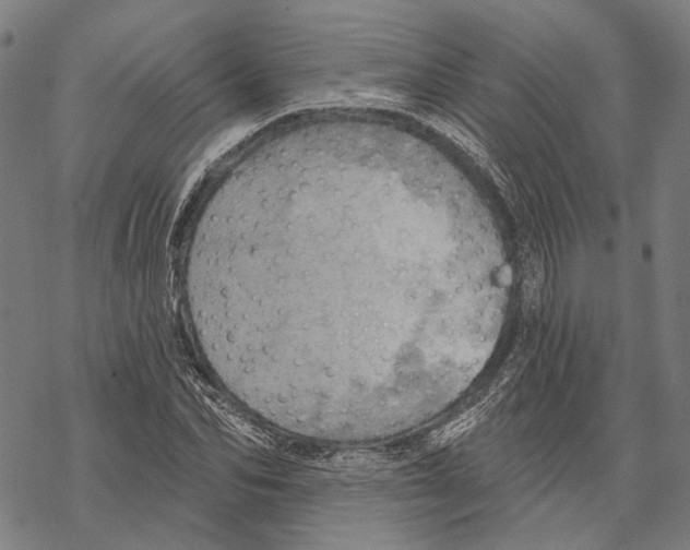 X0000067470974200605051643