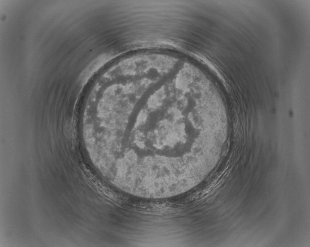 X0000067470975200605051643