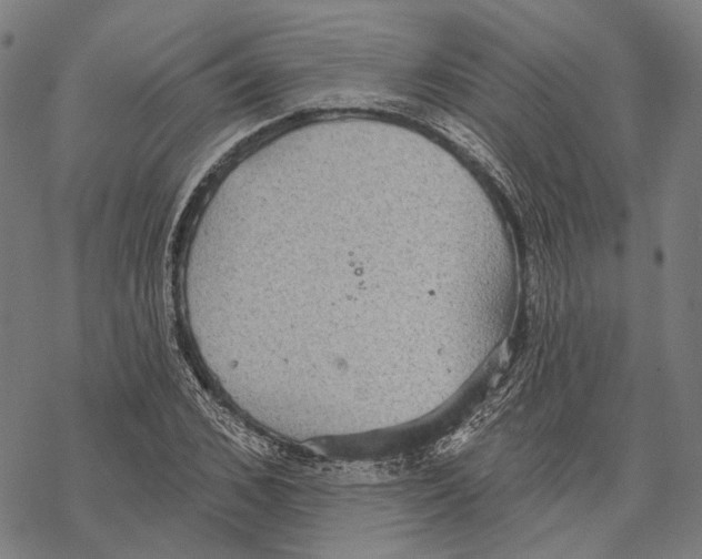 X0000067470976200605051643