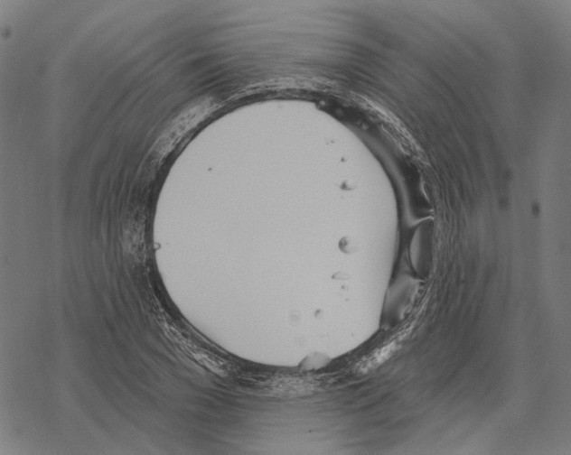 X0000067470977200605051643