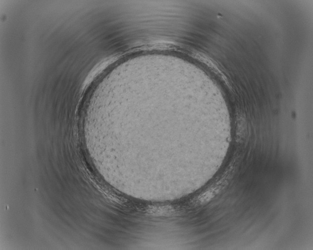 X0000067470978200605051643