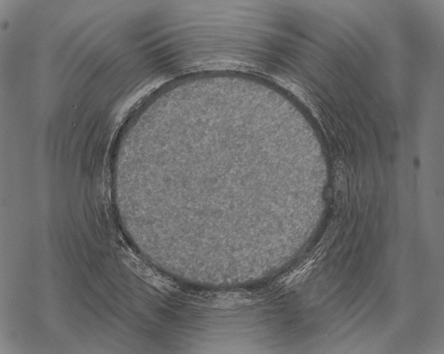 X0000067470979200605051643