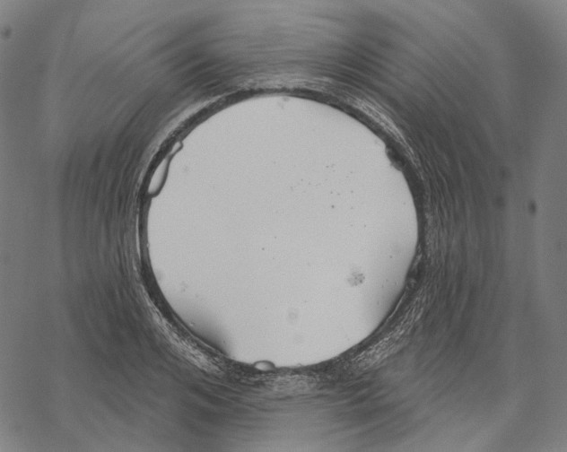 X0000067470984200605051643