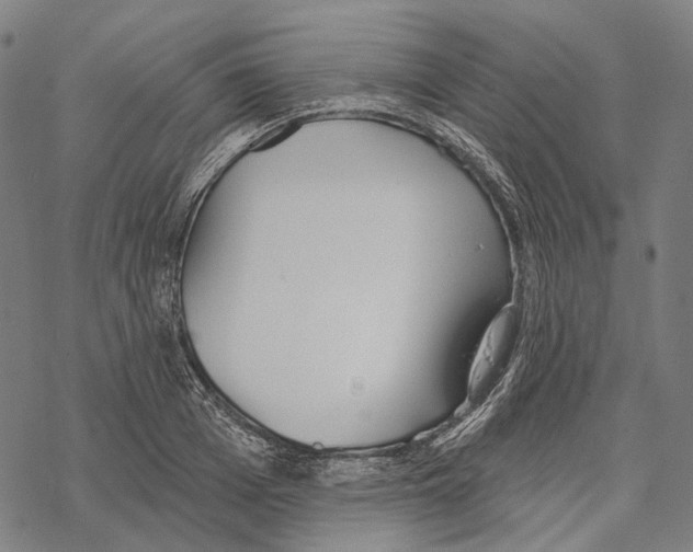 X0000067470985200605051643