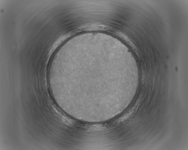 X0000067470986200605051643