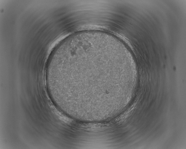 X0000067470987200605051642