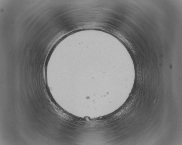 X0000067470988200605051642