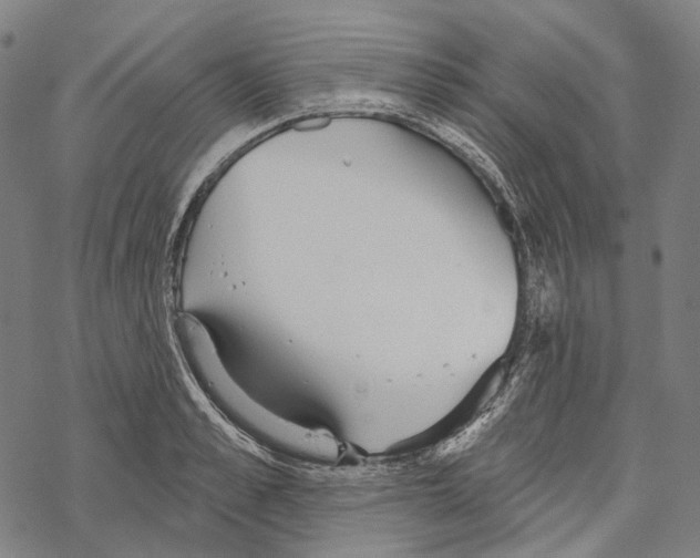 X0000067470989200605051642