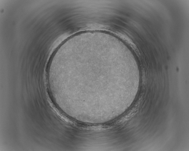 X0000067470990200605051642