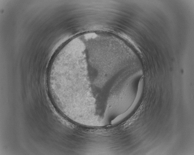 X0000067470991200605051642