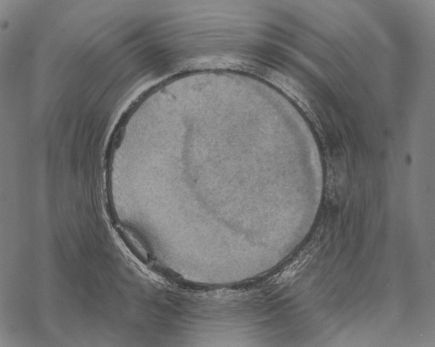 X0000067470992200605051642