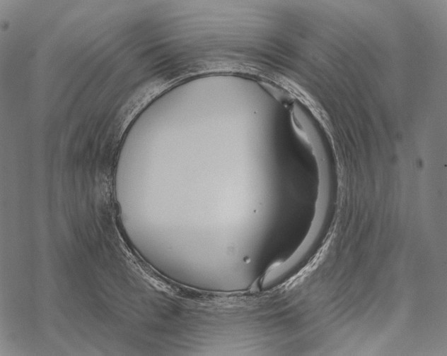 X0000067470993200605051642