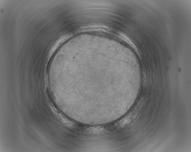 X0000067470994200605051642