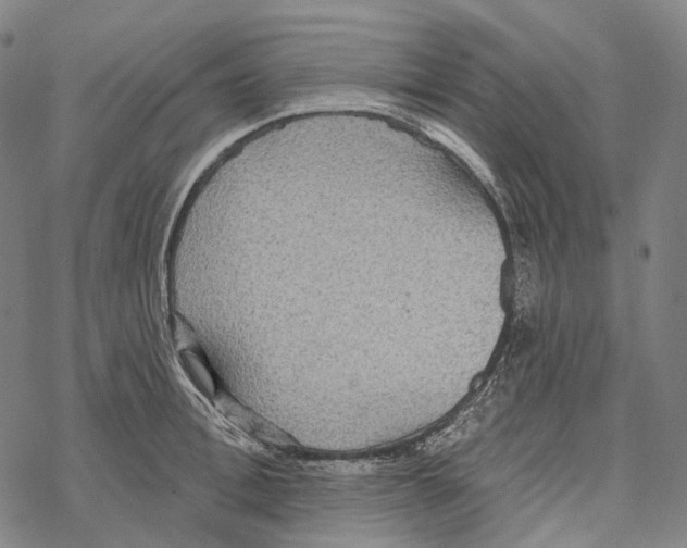 X0000067470996200605051642