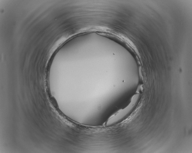 X0000067470997200605051642