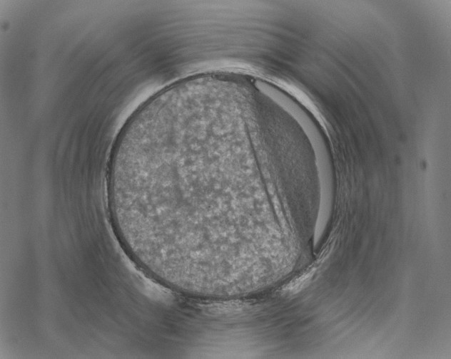 X0000067470999200605051642