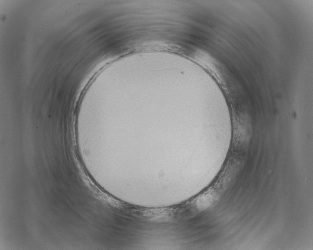 X0000067471000200605051642