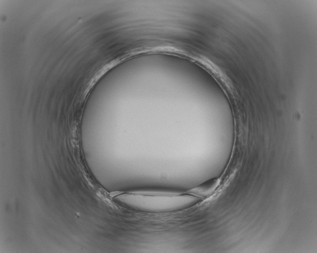 X0000067471001200605051642