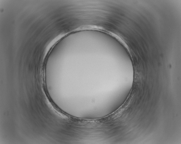 X0000067471003200605051642