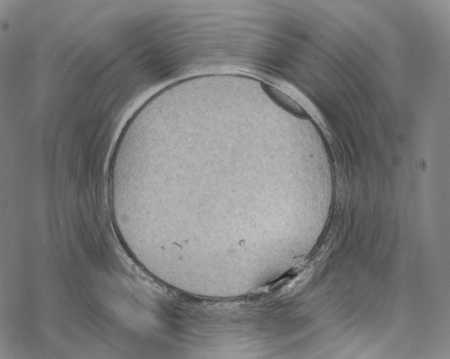 X0000067471004200605051642