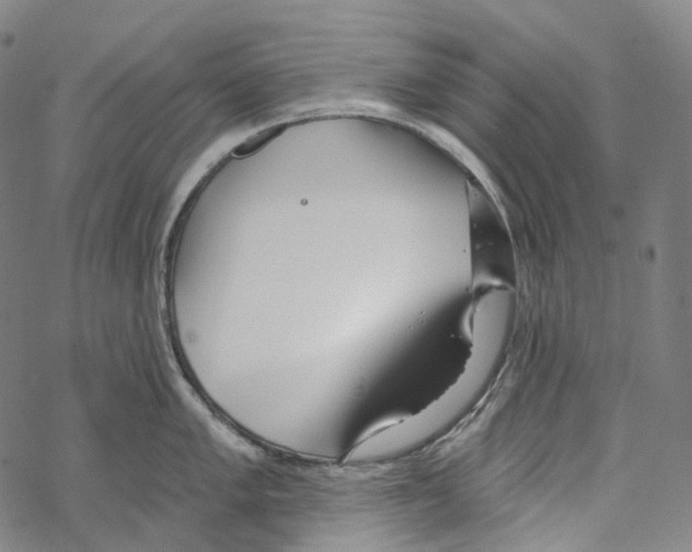 X0000067471005200605051642