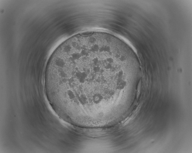 X0000067471007200605051642