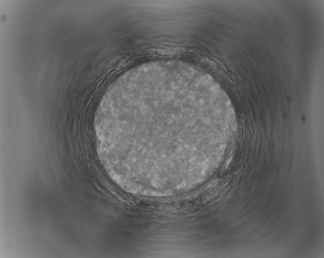 X0000067471009200605051641