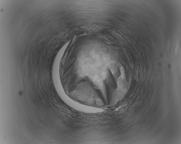 X0000067471010200605051641