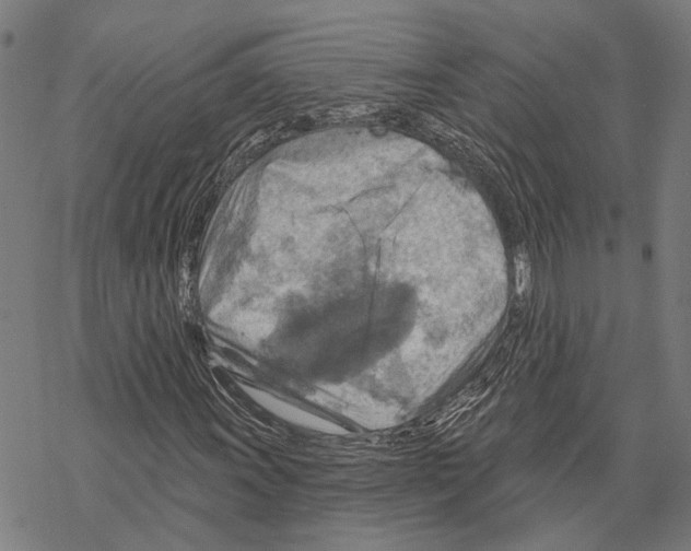 X0000067471011200605051641