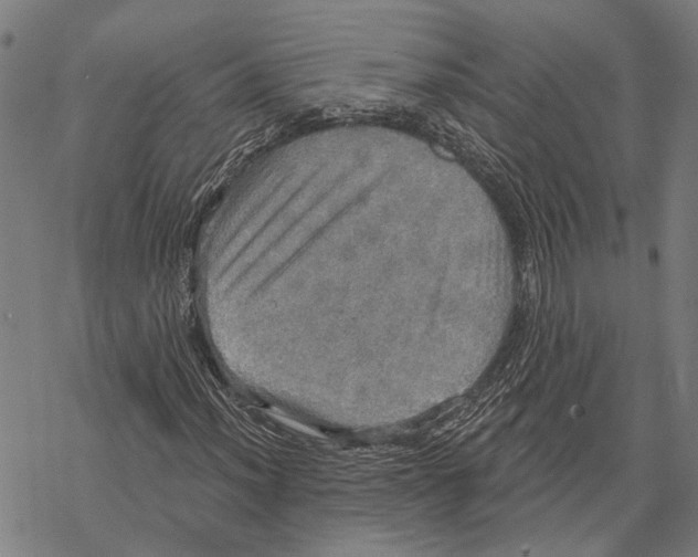 X0000067471012200605051641