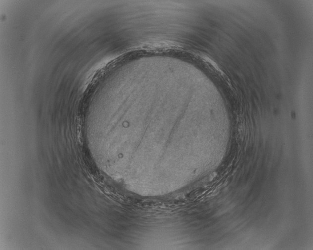 X0000067471016200605051641