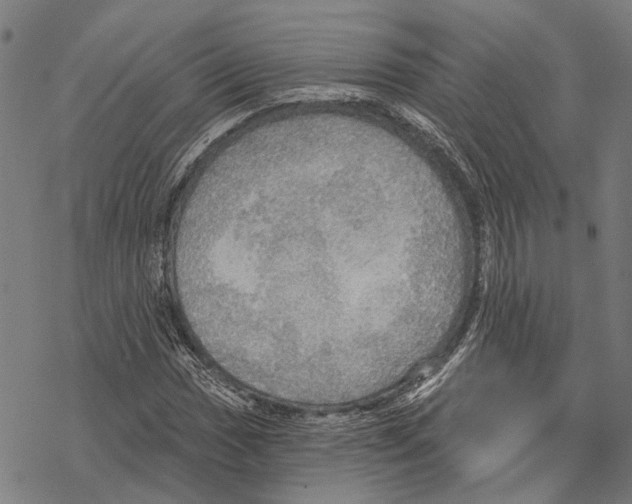 X0000067471017200605051642