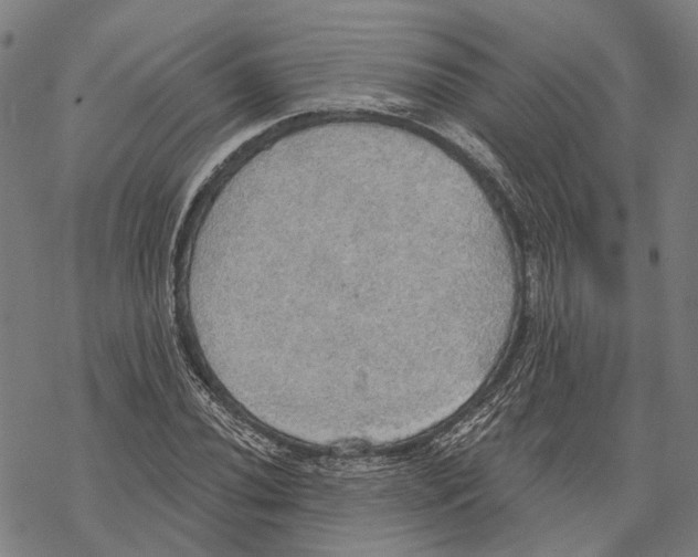 X0000067471020200605051642