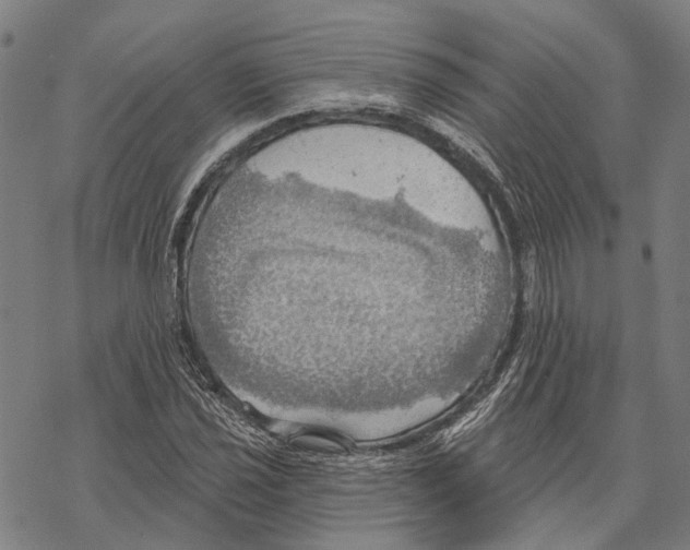 X0000067471021200605051642