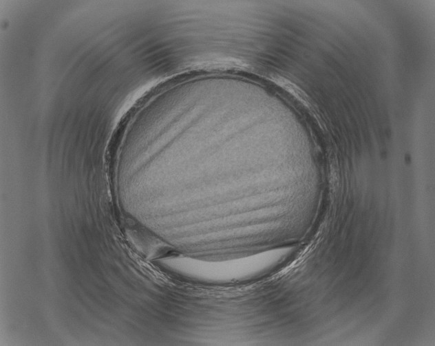 X0000067471022200605051642