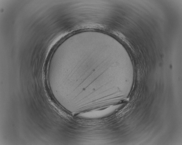 X0000067471024200605051642